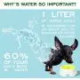Petriz Dog Water Bowl No Spill Water Bowl for Dogs Floating Bowl Dog Dripless Water Bowl Slow Down Water Feeder Spill Proof Anti Splash for Pets/Cats Petriz Dog Water Bowl No Spill Water Bowl for Dogs Floating Bowl Dog Dripless Water Bowl Slow Down Water Feeder Spill Proof Anti Splash for Pets/Cats