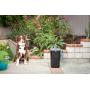 PetFusion Portable Outdoor Pet Waste Disposal. Innovative Dog Waste Station with Locking Handle, Universal Dog Poop Bag Holder, Complimentary Deodorizer & 5 Waste Bags Incl. 12 Month Warranty