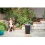 PetFusion Portable Outdoor Pet Waste Disposal. Innovative Dog Waste Station with Locking Handle, Universal Dog Poop Bag Holder, Complimentary Deodorizer & 5 Waste Bags Incl. 12 Month Warranty