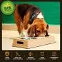 Iconic Pet Colour Splash Designer Rattan Pet Double Diner (Set of 2)