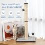 BIGA Cat Scratching Post Claw Scratcher with Sisal Rope and Teaser Ball for Pet 31in