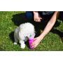 Highwave AutoDogMug Mini Pink