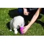 Highwave AutoDogMug Mini Pink