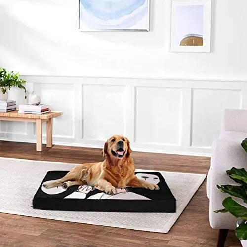 BTS_ Singularity, Large Dog Bed for Small, Medium, Large Dogs/Cats Up to 65 Lbs, Thick Mattress with Removable Washable Cover and Waterproof Lining BTS_ Singularity, Large Dog Bed for Small, Medium, Large Dogs/Cats Up to 65 Lbs, Thick Mattress with Removable Washable Cover and Waterproof Lining