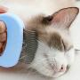Acxico 1pcs Blue Stripper for Dog and cat Hair