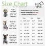 ChoChoCho Pup Dog Hoodie Pet Clothing Cotton Cat Hoodies Stylish Streetwear Sweatshirt Gray Tracksuits Outfit for Dog Cat Puppy Small Medium Large (XL) ChoChoCho Pup Dog Hoodie Pet Clothing Cotton Cat Hoodies Stylish Streetwear Sweatshirt Gray Tracksuits Outfit for Dog Cat Puppy Small Medium Large (XL)