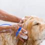 PETMAKER Pet Shower Attachment- Dog Bathing Sprayer & Bath Brush- 2 Adapters for Hoses, Nozzles & Faucets- One Hand Grooming, Washing & Massaging