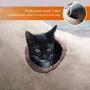 Petest Collapsible Cat Tunnel Pet Play Tube Crinkle Tunnel with Cat Toys