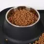 Patimate Stainless Steel Dog Bowl - Pet Bowls Food Water Feeder with Non-Skid No Spill Silicone Mat and Strong Suction Cup for Pets Small Medium Large Dogs Patimate Stainless Steel Dog Bowl - Pet Bowls Food Water Feeder with Non-Skid No Spill Silicone Mat and Strong Suction Cup for Pets Small Medium Large Dogs
