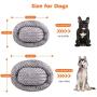 Beewarm Comfortable Cuddler Dog and Cat Bed Oval (24/32) - Lifetime Replacement - Washable Ultra Soft Cushion Bed