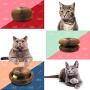 OUTFANDIA Cat Scratching Board,Cardboard with Catnip,Newest Foldable Convenient Magic Organ, Durable Recyclable,Best Cat Scratcher - Includes Catnip and Voice Ball