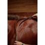 Wahl Professional Animal Equine Horse Grooming Brushes, Combs, Picks and Tools