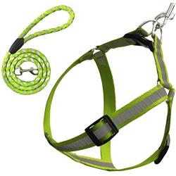 Zelten Dog Leash Harness Adjustable & Durable Leash Set & Heavy Duty Reflector Dog Leash Collar for Small, Medium and Large Dog, Perfect for Daily Training Walking Running (L, Green)