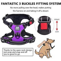 PoyPet Dog Harness and Leash Combo, Escape Proof No Pull Vest Harness, Reflective Adjustable Soft Padded Pet Harness with Handle for Small to Large Dogs(Purple,S)