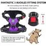 PoyPet Dog Harness and Leash Combo, Escape Proof No Pull Vest Harness, Reflective Adjustable Soft Padded Pet Harness with Handle for Small to Large Dogs(Purple,S)