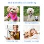 Huture 2 Pack Pet Detangling Comb Stainless Steel Plastic Handle Grooming Dog Cat Deshedding Removes Tangles Knots Tear Stain Poodle Finishing Butter Comb DIY Self Cleaning Slicker+1 towel