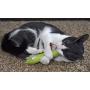 OurPets 100% North American Catnip Filled Cat Toys (Interactive Cat Toys for Indoor Cats, Kitten Toy, Cat Chew Toy & Catnip Toys for Cats) Great for Cats who enjoy Catnip & Interactive Cat Toys