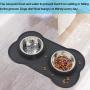 Double Dog Bowl, Stainless Steel Food and Water Bowl Food Scoop Pet Feeding Dish with Non Spill Silicone Mat for Puppy Dog Cat