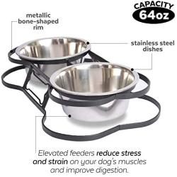 Iconic Pet Dog or Cat Stainless Steel Double Diner Elevated Bowl Set with Heavy Duty Bone Shaped Rim
