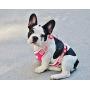 LivinPet No-Choke Dog Vest Harness w/Reflectieve Accents +Dog Collar with Zinc Alloy Metal Buckle
