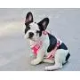LivinPet No-Choke Dog Vest Harness w/Reflectieve Accents +Dog Collar with Zinc Alloy Metal Buckle