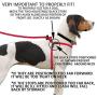 Harness Lead, Escape Resistant Leash, Reduces Pull, Dog Harness