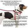 Harness Lead, Escape Resistant Leash, Reduces Pull, Dog Harness Harness Lead, Escape Resistant Leash, Reduces Pull, Dog Harness