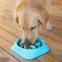Studyset Slow Feeder Cat Bowl, Pet Puppy Treat Dispenser Dog Puzzle Toy Bowl Interactive Training Games Feeder