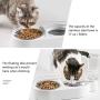 Qucey Double Cat Dog Bowls Pet Automatic Water Dispenser Detachable Bowl No-Spill Pet Food Water Bowls Feeder for Cats and Small Dog