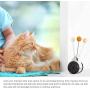 Interactive Cat Toys with Catnip Ball 2 Pack Pet Balance Swing car Balanced Cat Toy for Indoor Cats Rotating Rolling Balls for Cat/Kitten Pet Entertainment Hunting Exercise