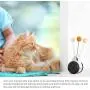 Interactive Cat Toys with Catnip Ball 2 Pack Pet Balance Swing car Balanced Cat Toy for Indoor Cats Rotating Rolling Balls for Cat/Kitten Pet Entertainment Hunting Exercise