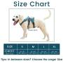 BELPRO Multi-Use Support Dog Harness, Escape Proof No Pull Reflective Adjustable Vest with Durable Handle, Dog Walking Harness for Big/Active Dogs