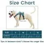 BELPRO Multi-Use Support Dog Harness, Escape Proof No Pull Reflective Adjustable Vest with Durable Handle, Dog Walking Harness for Big/Active Dogs BELPRO Multi-Use Support Dog Harness, Escape Proof No Pull Reflective Adjustable Vest with Durable Handle, Dog Walking Harness for Big/Active Dogs