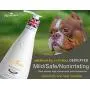 Pet Prince All Natural American Bully Pitbull Shampoo -31.9oz.