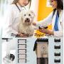 ELMA ALMI Dog Clippers for Grooming - Dog Grooming Clippers, Dog Clippers Low Noise Pet Clippers Rechargeable, Dog Grooming Kit, Dog Trimmers Clippers Professional