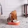 Jemirry Cat Dog Bowls with Raised Stand,15° Tilted Food and Water Bowl Set, Double Pet Bowls Bottle for Small or Medium Size Dogs Cats Jemirry Cat Dog Bowls with Raised Stand,15° Tilted Food and Water Bowl Set, Double Pet Bowls Bottle for Small or Medium Size Dogs Cats