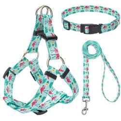 EXPAWLORER No Pull Dog Harness with Leash and Collar Set, Basic Halter Vest Harness, Adjustable Soft Strap with Fashion Banana Flamingo Design