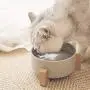 Ceramic Elevated Dog Bowls, Raised Dog and Cat Pet Feeder with Wooden Stand Water Food Comfort Diner Anti Slip Feet Reduce Neck Burden Easy to Clean
