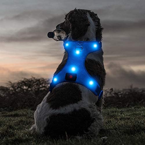 Ezier Glowing LED Dog Harness- USB Rechargeable No-Pull Pet Harness, Adjustable Soft Padded Dog Vest, Mesh Reflective Suit for Small, Medium, Large Dogs