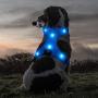 Ezier Glowing LED Dog Harness- USB Rechargeable No-Pull Pet Harness, Adjustable Soft Padded Dog Vest, Mesh Reflective Suit for Small, Medium, Large Dogs