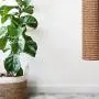 Diversity world Wall-Mounted Quick Replaceable Sisal Cat Scratching Post Diversity world Wall-Mounted Quick Replaceable Sisal Cat Scratching Post