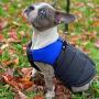 Gooby Padded Dog Vest - Zip Up Dog Jacket Coat with D Ring Leash - Small Dog Sweater with Zipper Closure - Dog Clothes for Small Dogs Girl or Boy for Indoor and Outdoor Use