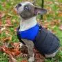 Gooby Padded Dog Vest - Zip Up Dog Jacket Coat with D Ring Leash - Small Dog Sweater with Zipper Closure - Dog Clothes for Small Dogs Girl or Boy for Indoor and Outdoor Use