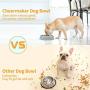 Dog Bowl Feeder Slow Eating Pet Bowl, Fun Feeder, Dog Food Water Bowl with Funny Pattern, Interactive Feeding Bowls Healthy Eating (Green)