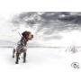 SportDOG Brand TEK Series GPS Tracking Systems with E-Collar Option - Up to 10 Mile Range - Waterproof, Rechargeable Dog Location Device with Handheld