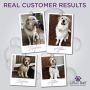 Lillian Ruff Brightening & Whitening Shampoo for Dogs – Tear Free Coconut Scent with Aloe for Dry & Sensitive Skin – Adds Shine & Luster to Coats