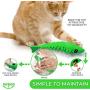 Ronton Cat Toothbrush Catnip Toy - Durable Hard Rubber - Cat Dental Care, Cat Interactive Toothbrush Chew Toy