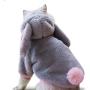 Dog Costumes,Cat Costumes,Cat Clothes,Cat Halloween Costumes,Winter Costumes,Rabbit Cosplay Winter Costume to Make Your Pet Look Cute.