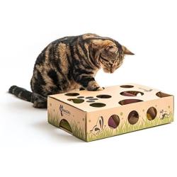 Cat Amazing – Best Cat Toy Ever! Interactive Treat Maze & Puzzle Feeder for Cats