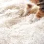 4CLAWS Furry Pet Bed/Mat (Convertible) White/Grey 4CLAWS Furry Pet Bed/Mat (Convertible) White/Grey